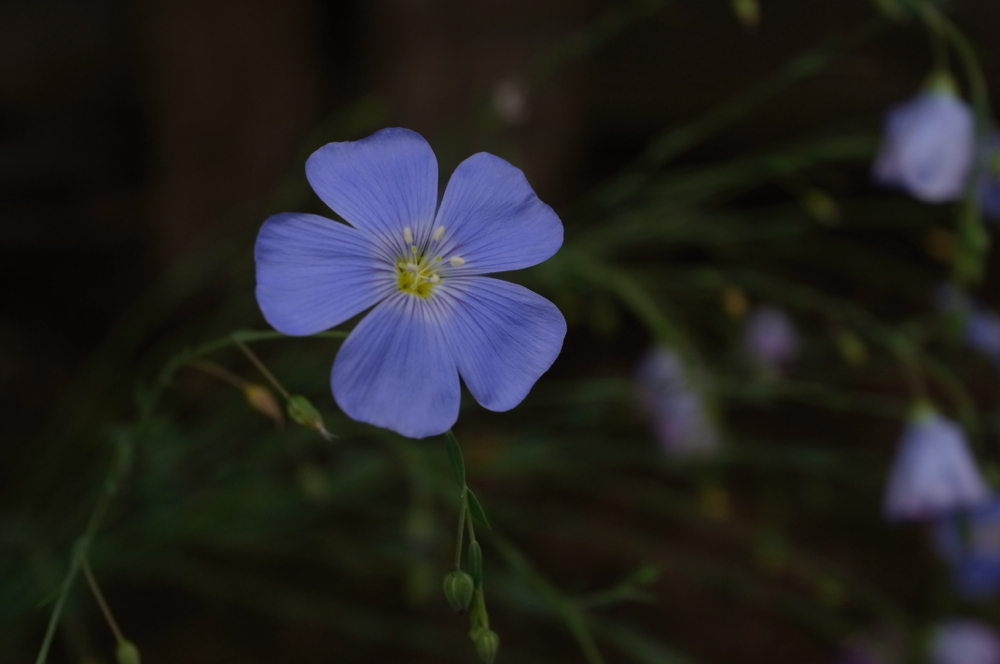 f:id:elmikamino:20130628101840j:image:w500 f:id:elmikamino:20130628101840j:image:w500