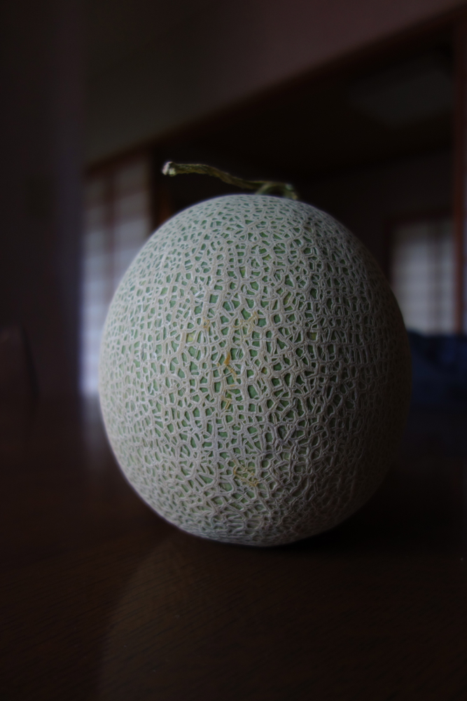 f:id:elmikamino:20130711172518j:image:h500