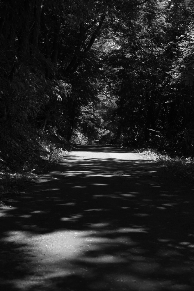 f:id:elmikamino:20130715110931j:image:h500