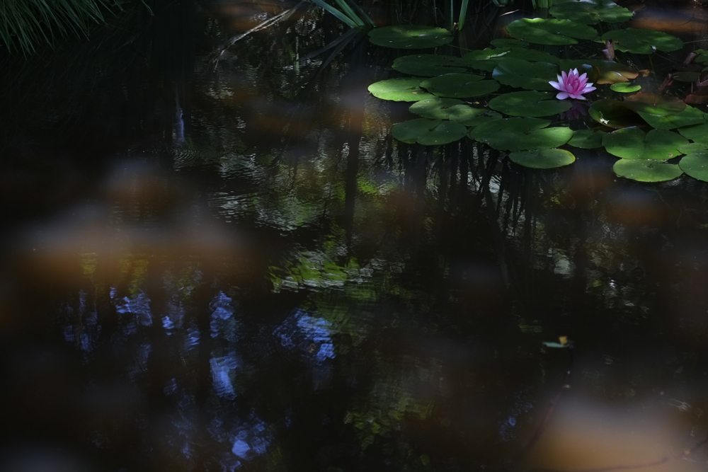 f:id:elmikamino:20130715112710j:image:w500