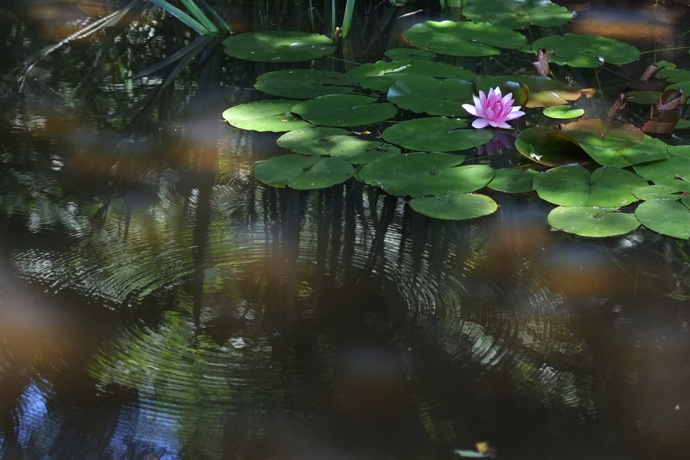 f:id:elmikamino:20130715112719j:image:w500