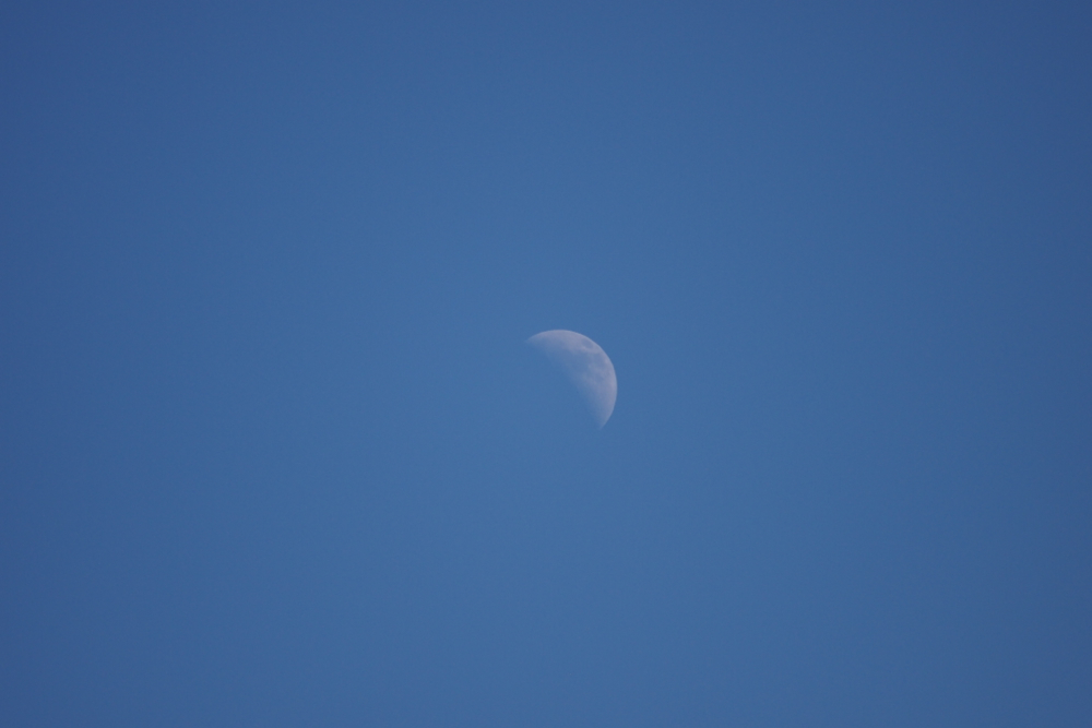 f:id:elmikamino:20130715153232j:image:w500