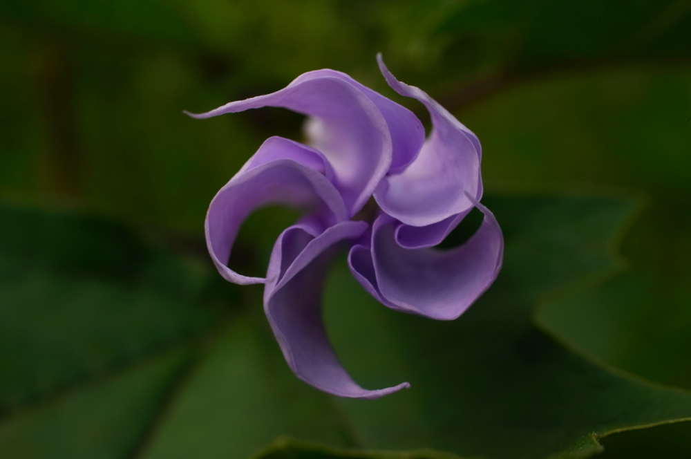 f:id:elmikamino:20130719093230j:image:w500