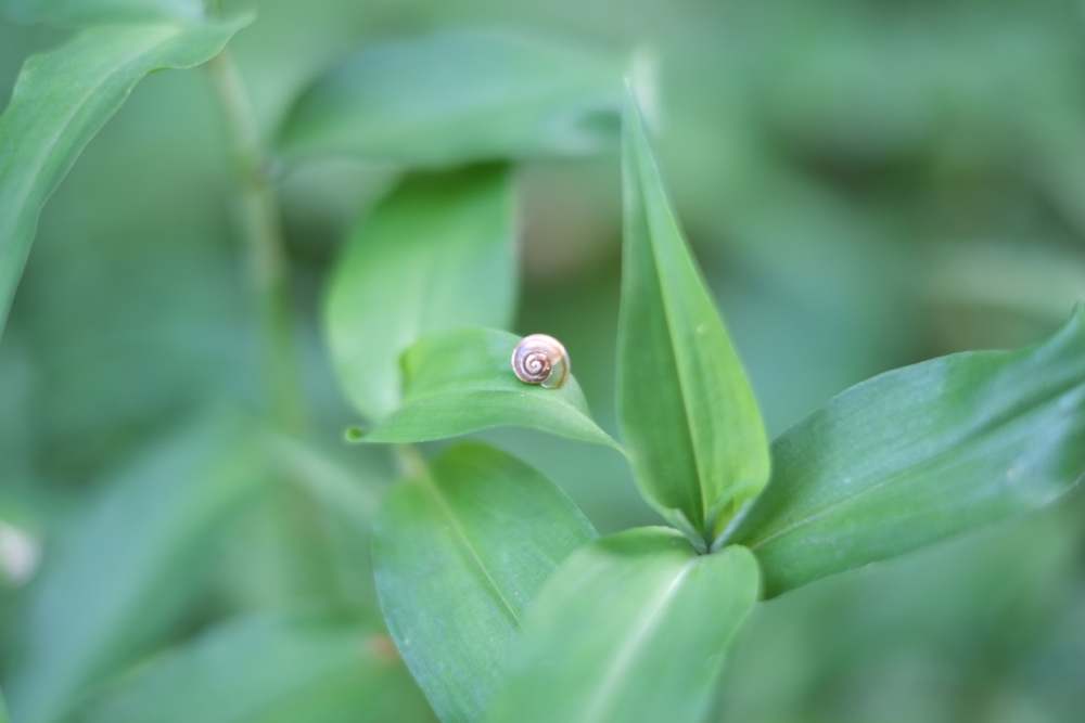 f:id:elmikamino:20130724145836j:image:w500