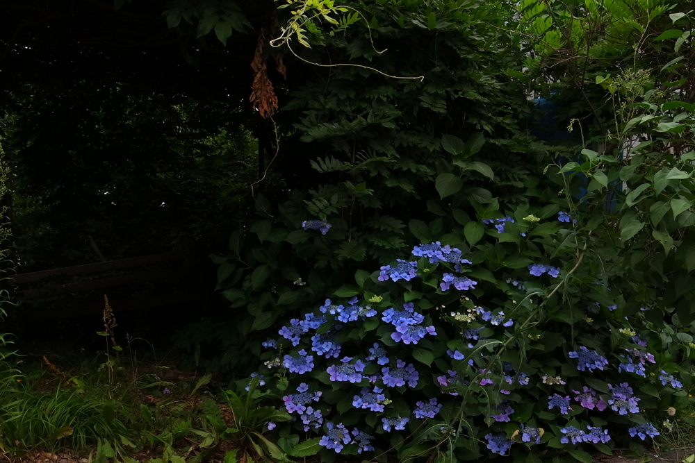 f:id:elmikamino:20130801123202j:image:w500