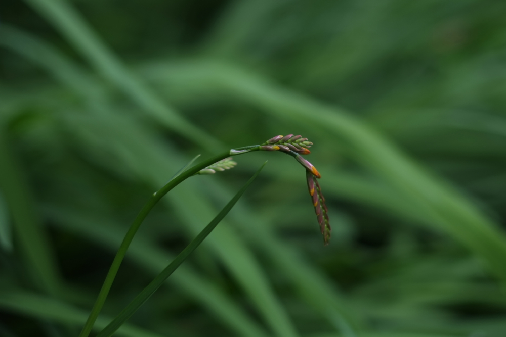 f:id:elmikamino:20130802082225j:image:w500