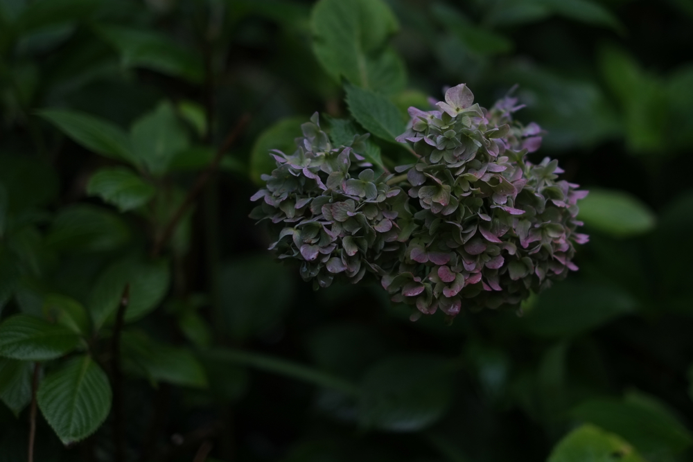 f:id:elmikamino:20130828094307j:image:w500 f:id:elmikamino:20130828094307j:image:w500