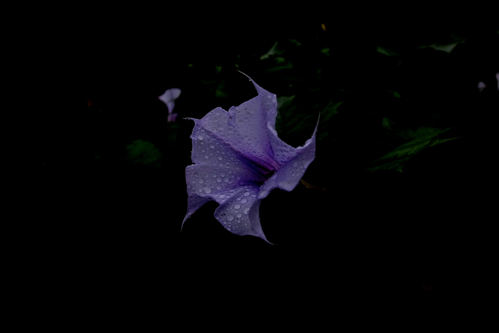 f:id:elmikamino:20130902165347j:image:w500