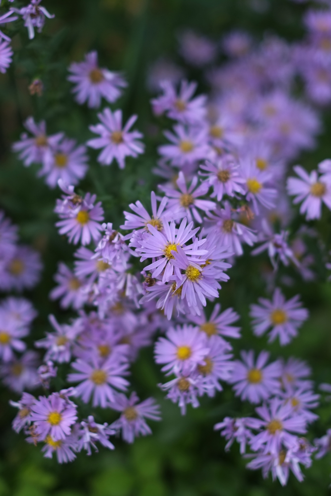 f:id:elmikamino:20130919110408j:image:h500