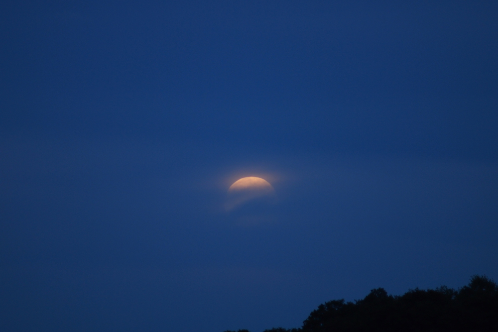 f:id:elmikamino:20130919174929j:image:w500