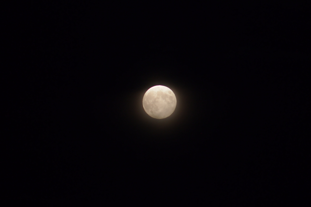 f:id:elmikamino:20130919180938j:image:w500