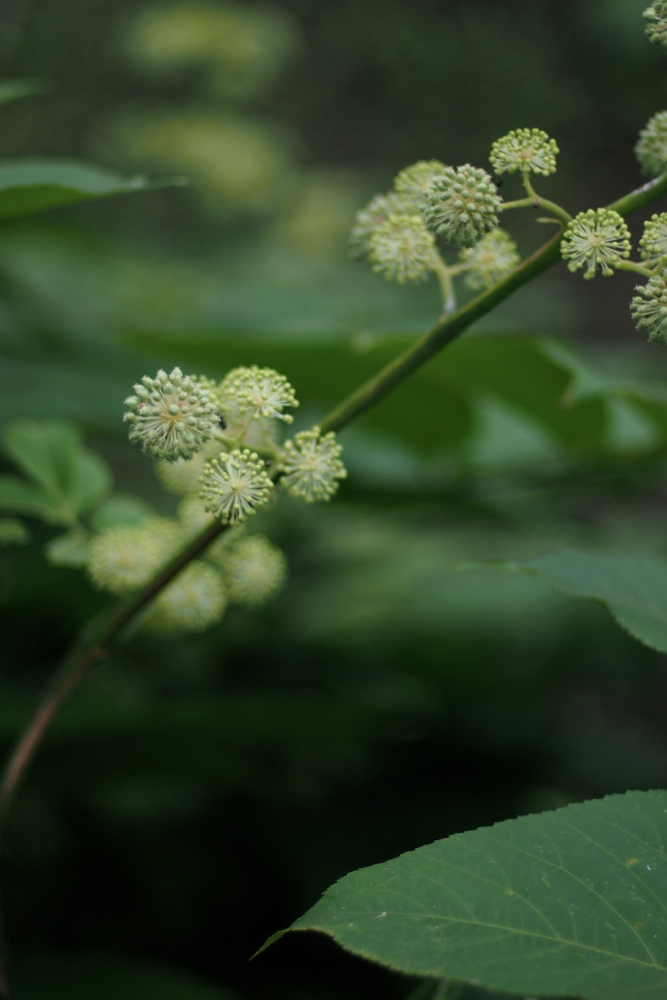 f:id:elmikamino:20130920080834j:image:h500 f:id:elmikamino:20130920080834j:image:h500