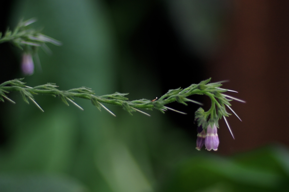 f:id:elmikamino:20130920080914j:image:w500 f:id:elmikamino:20130920080914j:image:w500