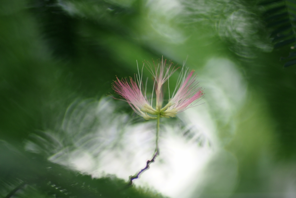 f:id:elmikamino:20130920081134j:image:w500 f:id:elmikamino:20130920081134j:image:w500