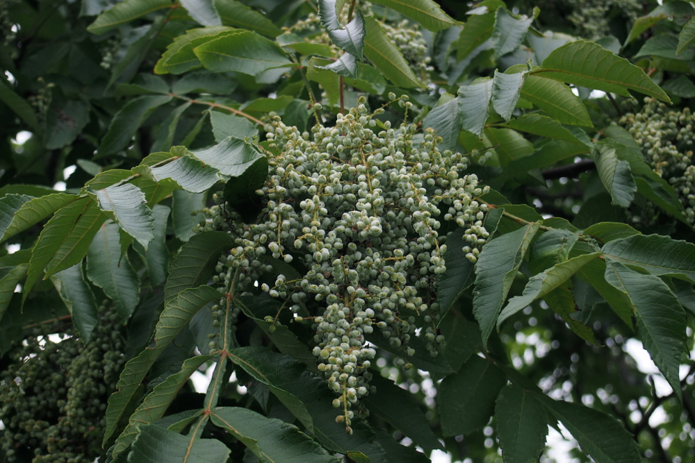 f:id:elmikamino:20130920142250j:image:w500