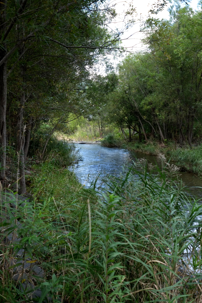 f:id:elmikamino:20130923124353j:image:h500