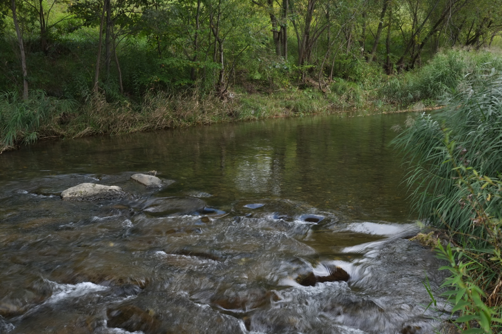 f:id:elmikamino:20130923124453j:image:w500