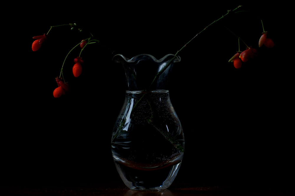 f:id:elmikamino:20130924104053j:image:w500