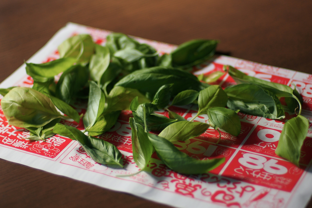 f:id:elmikamino:20130928095525j:image:w500