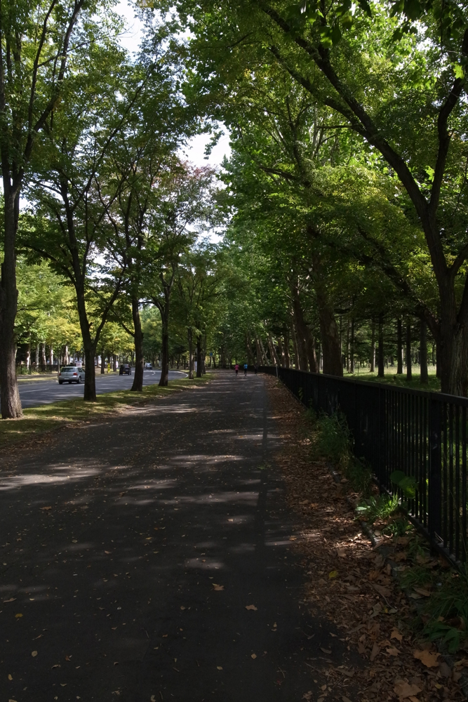 f:id:elmikamino:20130929114707j:image:h500