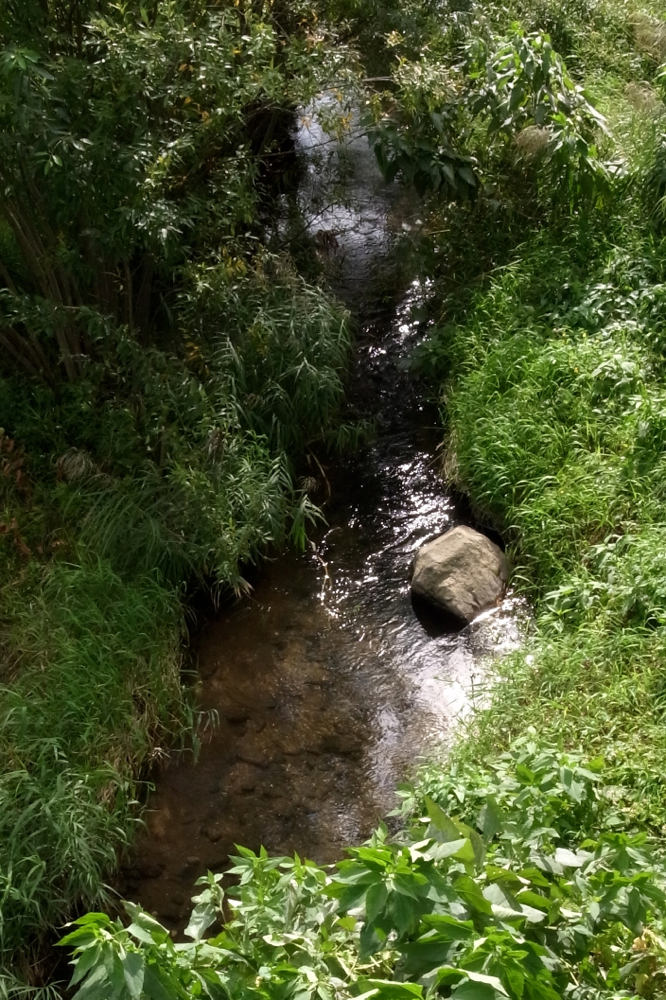 f:id:elmikamino:20130929123151j:image:h500