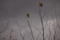 20131110125741