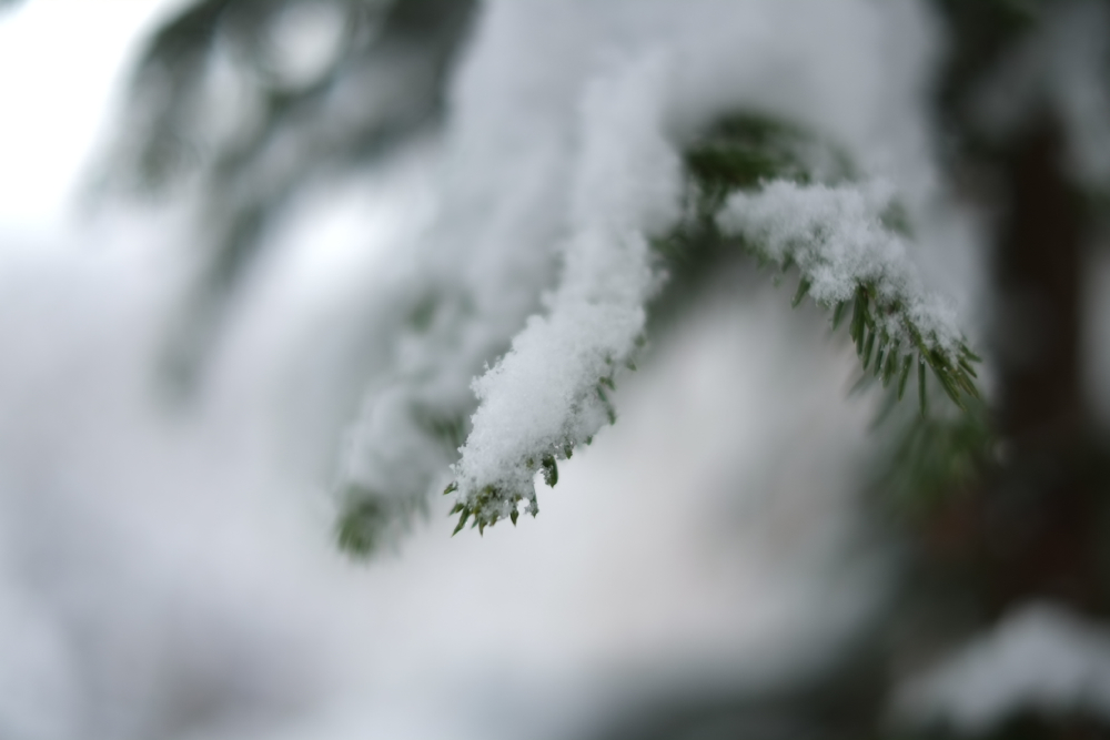 f:id:elmikamino:20131128093100j:image:w500 f:id:elmikamino:20131128093100j:image:w500