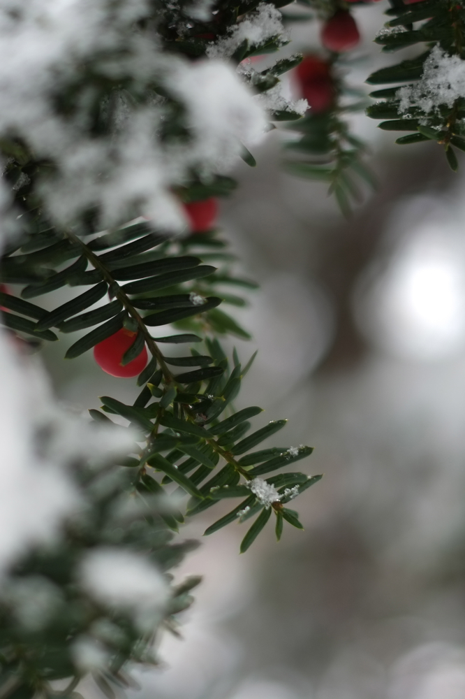 f:id:elmikamino:20131128093632j:image:h500 f:id:elmikamino:20131128093632j:image:h500