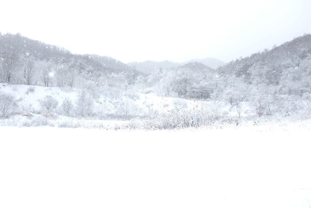 f:id:elmikamino:20131201100425j:image:w500