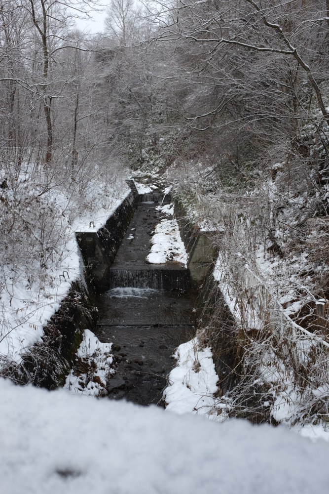 f:id:elmikamino:20131201101418j:image:h500