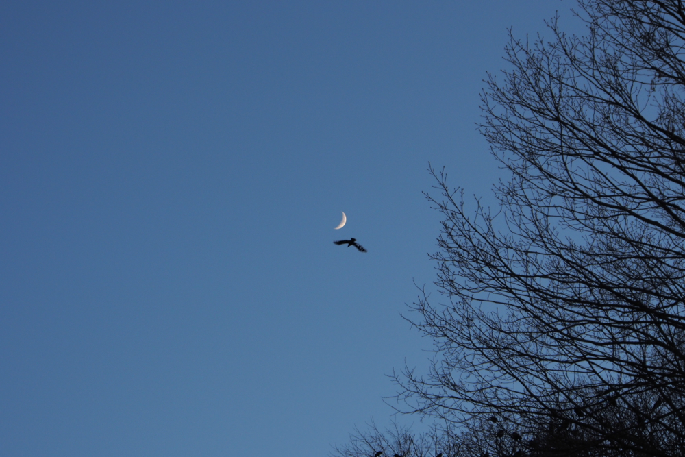 f:id:elmikamino:20131207155401j:image:w500