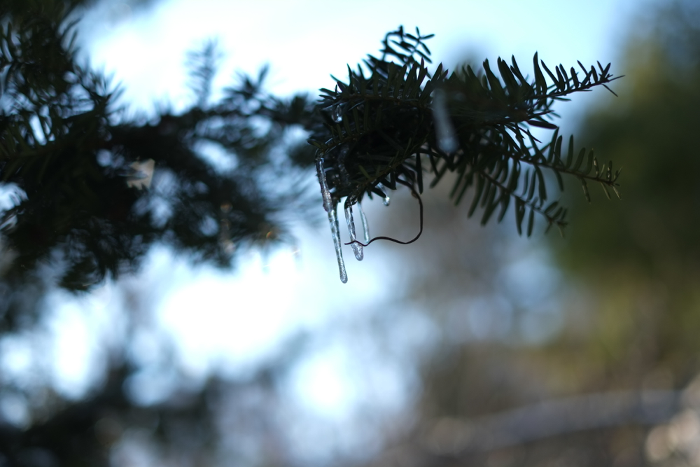 f:id:elmikamino:20131208093005j:image:w500 f:id:elmikamino:20131208093005j:image:w500