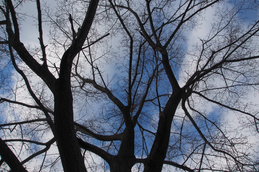 f:id:elmikamino:20131208110149j:image:w500