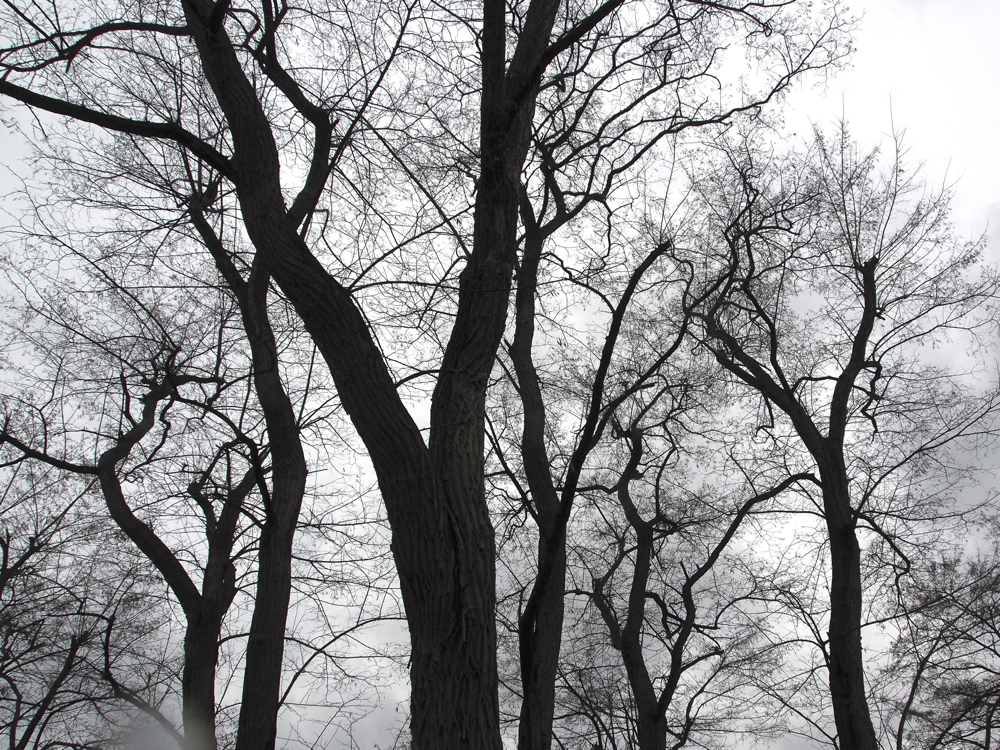 f:id:elmikamino:20131210120802j:image:w500