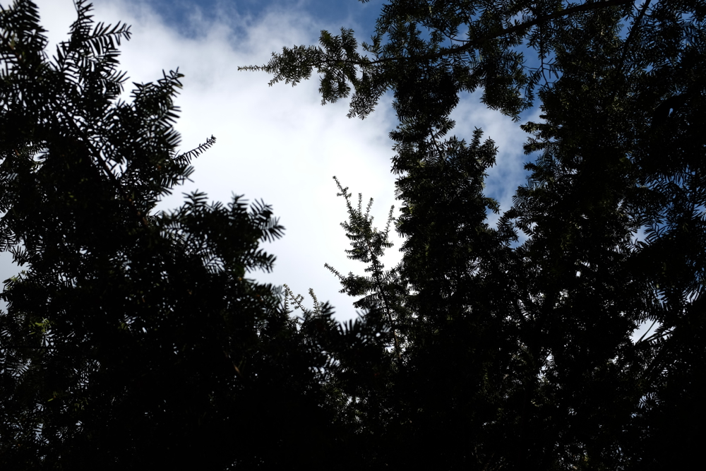 f:id:elmikamino:20131212101506j:image:w500