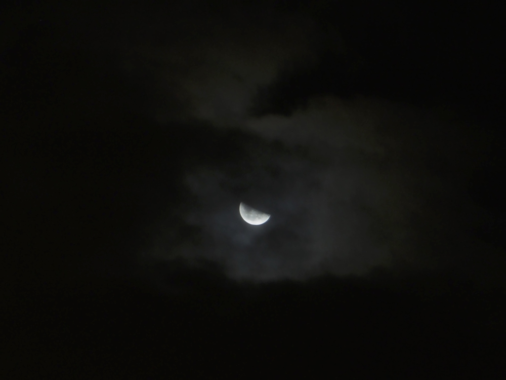 f:id:elmikamino:20131226014052j:image:w500