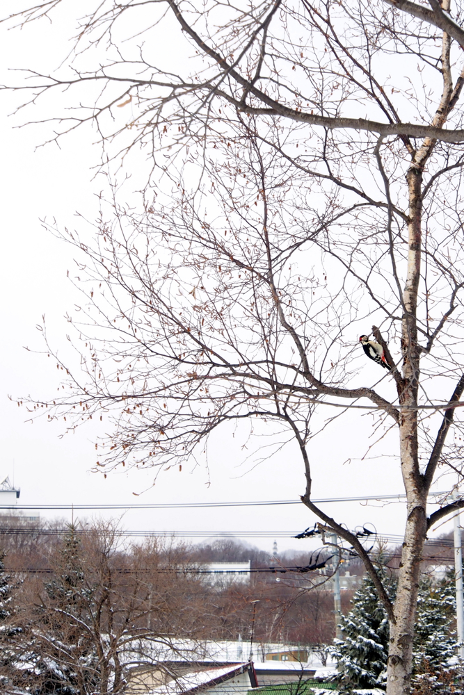 f:id:elmikamino:20131229093859j:image:h500