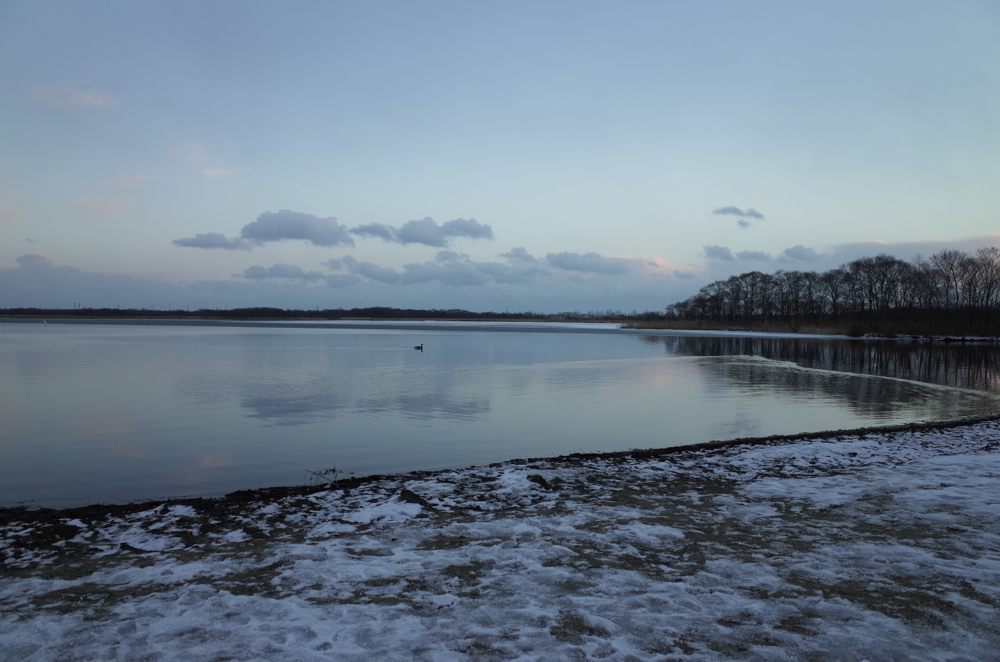 f:id:elmikamino:20140101155901j:image:w500