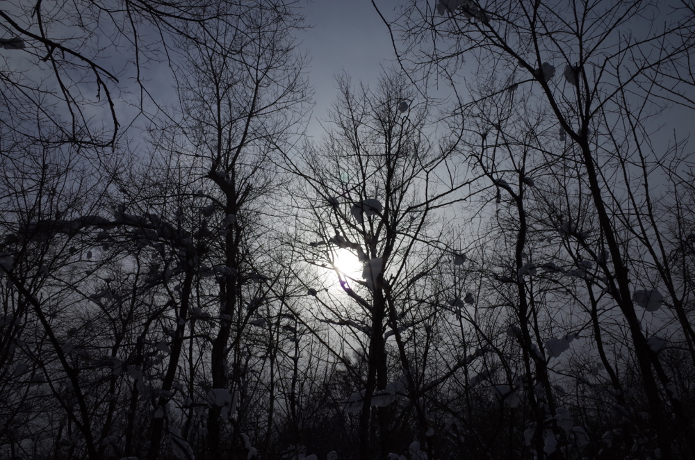 f:id:elmikamino:20140109110703j:image:w500
