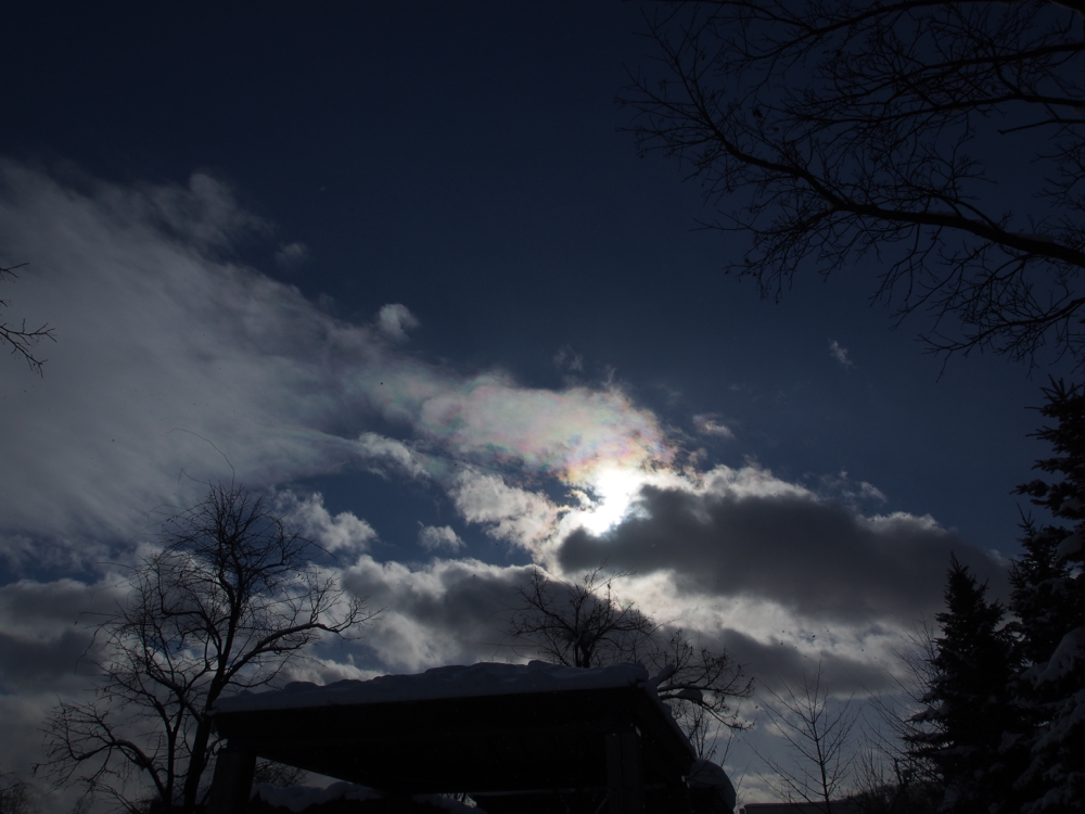 f:id:elmikamino:20140113104427j:image:w500