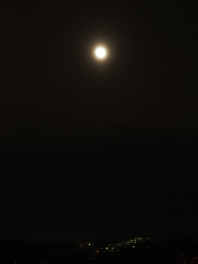 f:id:elmikamino:20140116175403j:image:h500