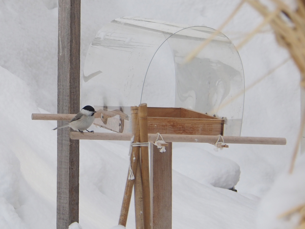f:id:elmikamino:20140118093049j:image:w500