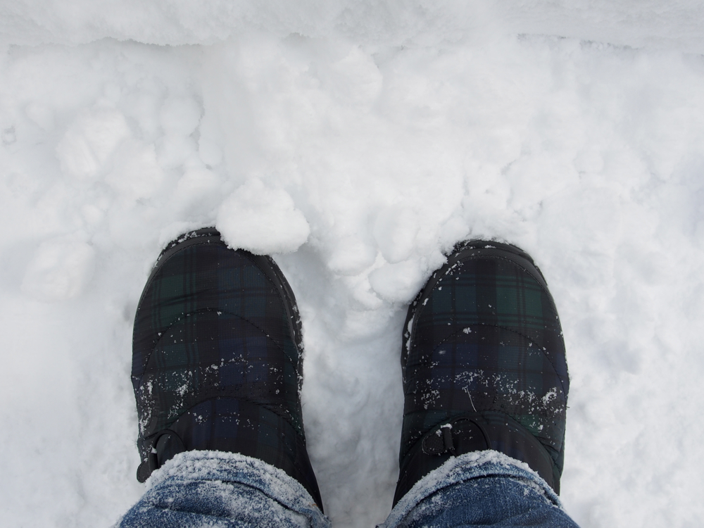 f:id:elmikamino:20140123110942j:image:w500