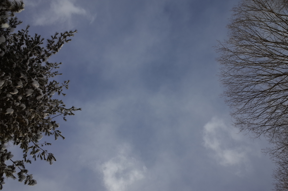 f:id:elmikamino:20140201092902j:image:w500