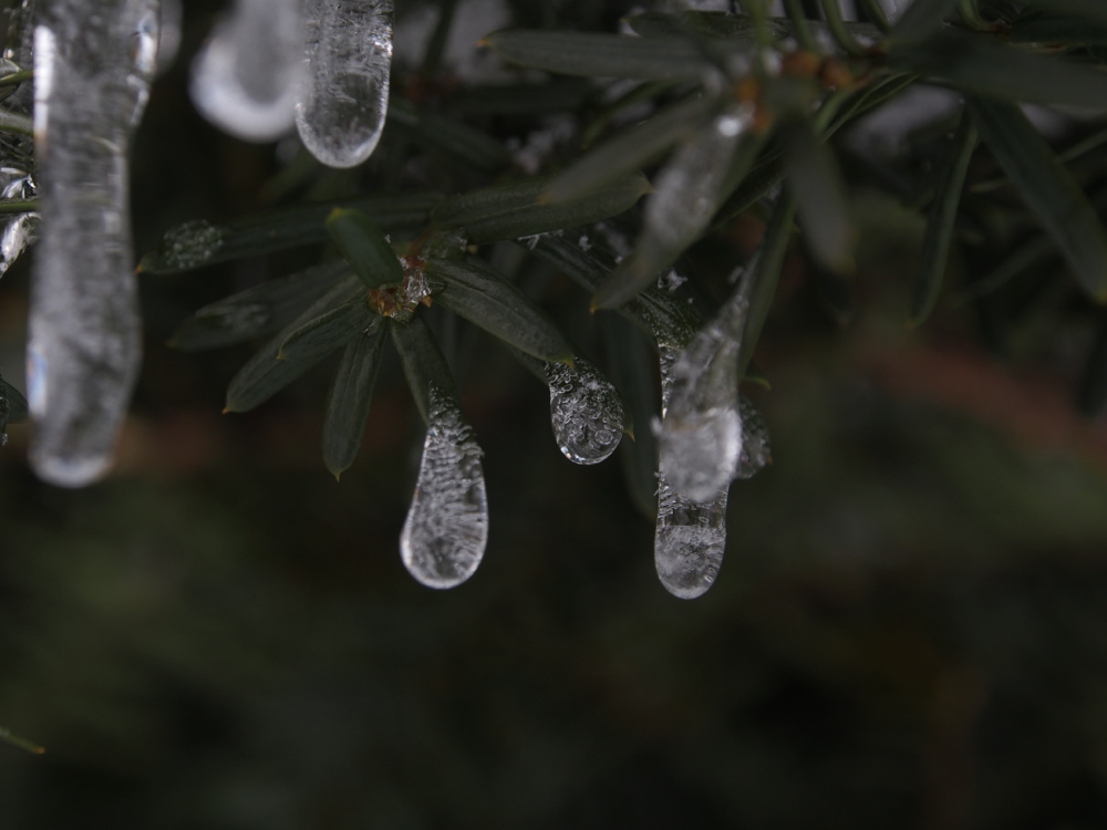 f:id:elmikamino:20140211110136j:image:w500