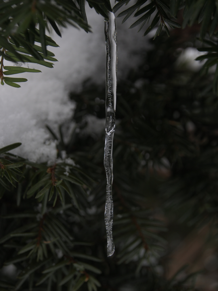 f:id:elmikamino:20140211110152j:image:h500