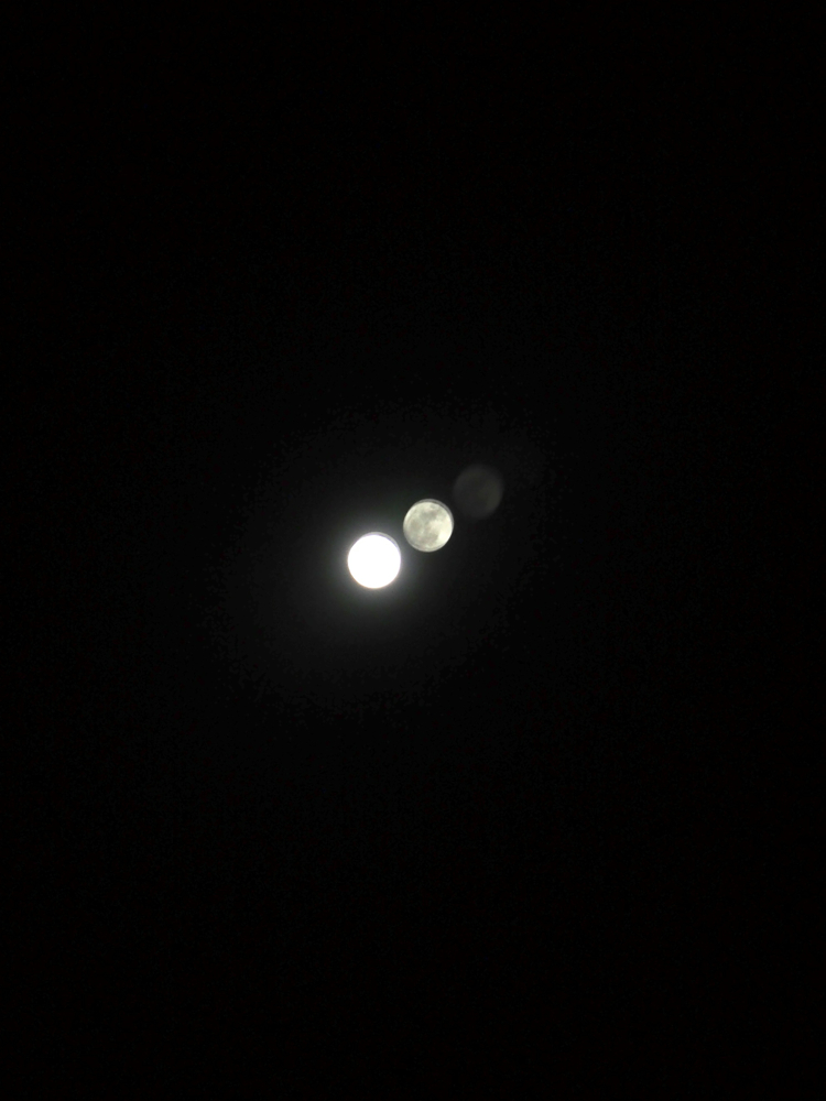 f:id:elmikamino:20140214204333j:image:h500