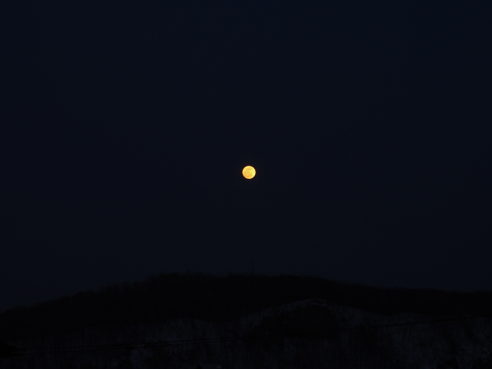 f:id:elmikamino:20140316180653j:image:w500