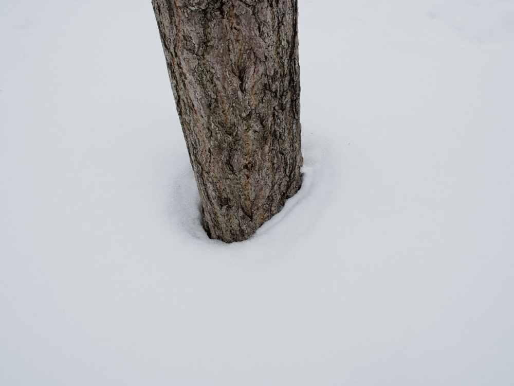 f:id:elmikamino:20140319110234j:image:w500