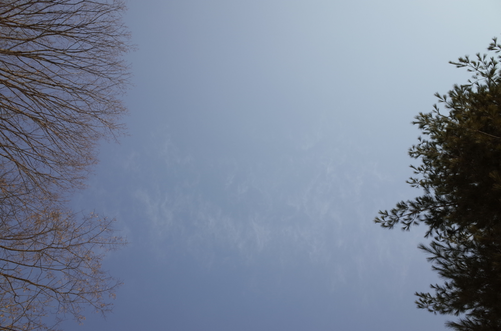 f:id:elmikamino:20140329085102j:image:w500